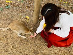 -费瑟代尔野生动物园