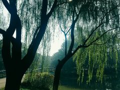 -白塘生态植物园