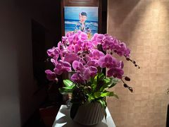 -双季花艺园艺市场(浦东店)