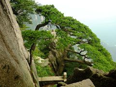 -黄山阿拉酒店(黄山风景区换乘中心店)