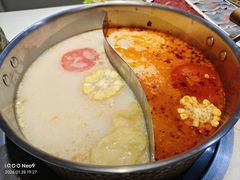 -濠七糟粕醋•海南酸汤火锅(中关村店)