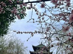 -堤角公园