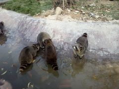 -泉州海丝野生动物世界