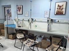 -纳吉亚猫专科动物诊疗中心(蒋宅口分院)