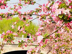 -元大都城垣遗址公园