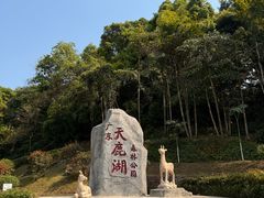 -天鹿湖森林公园
