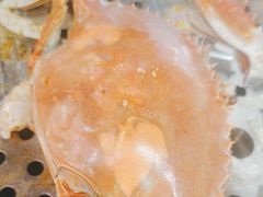 -渔公码头海货全海鲜自助(海滨旅游路店)
