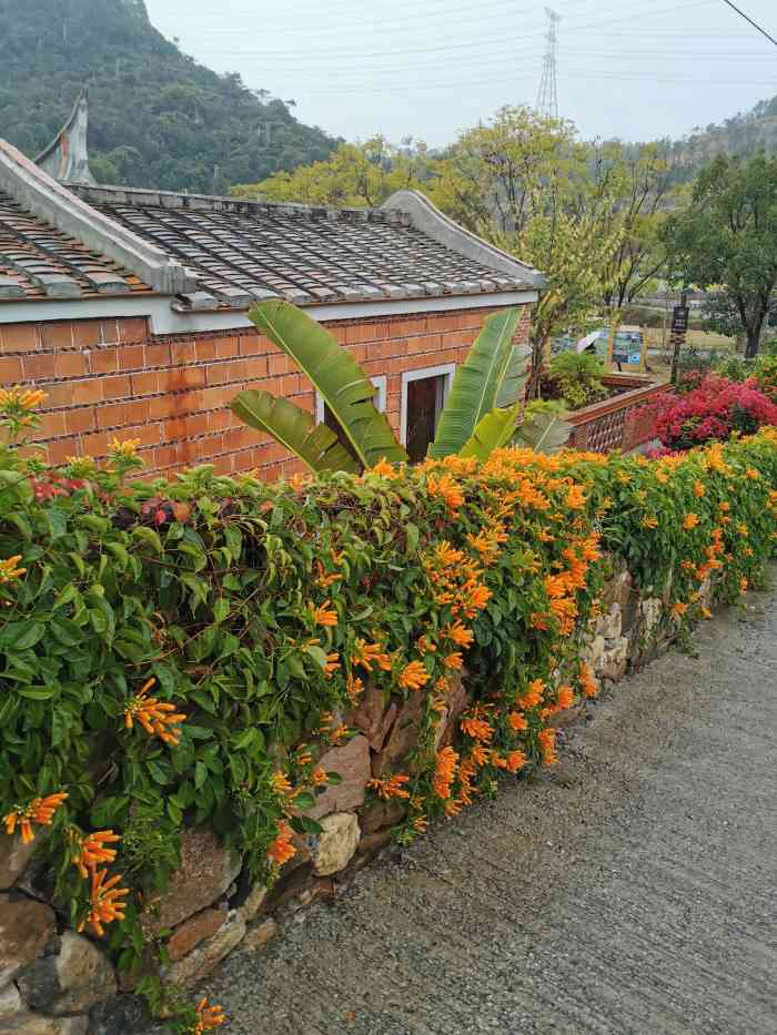 大帽山境寨仔尾里-"跟童话世界一样的地方 风景很好 建议自驾.