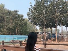 -大连森林动物园