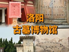 -洛阳古墓博物馆