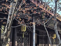 -常熟方塔园