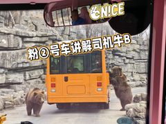 -北京野生动物园