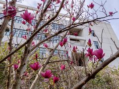 -深圳大学(丽湖校区)
