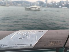 -星光大道
