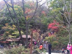 -天女山森林公园