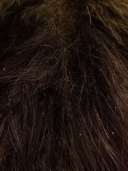 -Moyue HAIR SALON