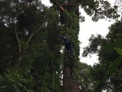 -清迈丛林飞跃 JungleFlight