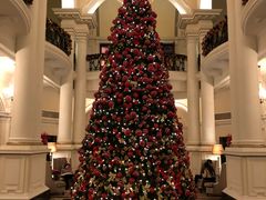 -Salon de Ville浦江汇(上海外滩华尔道夫酒店店)