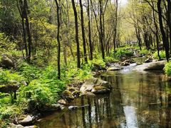 -玉渡山自然风景区