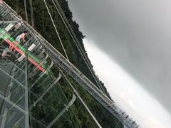 -呀诺达热带雨林