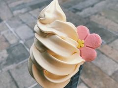 -麦当劳(金山红星美凯龙DT店)