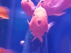-常州海昌海洋探索馆