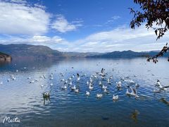 -丽江泸沽湖景区