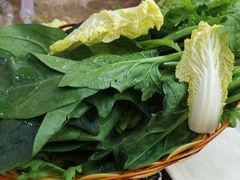 蔬菜拼盘-牛叔鲜羊肉铜火锅(远东小区店)