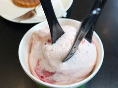 -Patagonia Chocolates(皇后镇店)