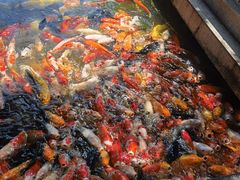 -番禺宾馆丽苑厅