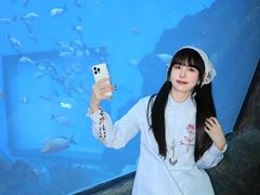 -南昌融创海世界