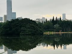-荔枝公园(福田区)