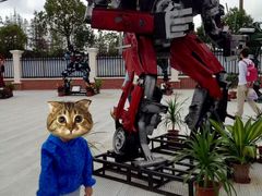 -上海长兴岛郊野公园