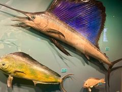 -浙江自然博物院(杭州馆)
