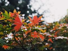 -杭州城北体育公园