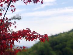 -径山寺