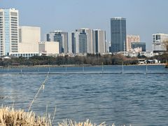 -渤公岛生态公园