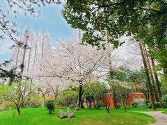 -中国银行(上海市复旦大学支行)