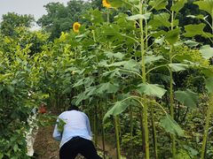 -小丫头餐厅·江浙菜·烧烤(灵隐店)