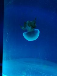 -酷嗒动物文化乐园(cutezoo西溪乐天城店)