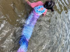 -碧海金沙