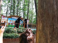 -日照海滨国家森林公园