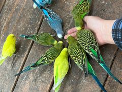 -南宫五洲植物乐园