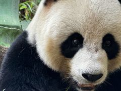 -广州长隆野生动物世界