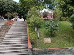 -广州神农草堂中医药博物馆