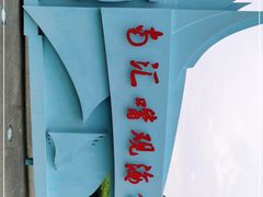 -南汇嘴观海公园