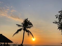 -Rock Bar Bali(Bali)