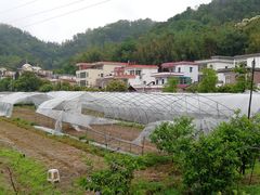 -红山村
