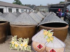 -苏州市吴中区光福窑上花果蜜饯厂