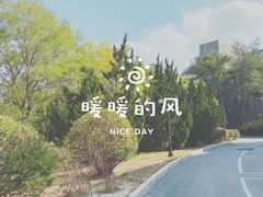-大连东软信息学院(软件园校区)